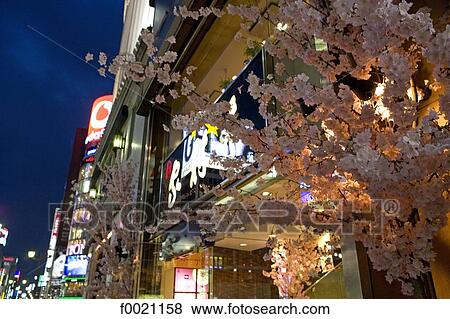 Japan, Tokyo, Ginza quarter by night View Large Photo Image Stock Photo - Japan, Tokyo, Ginza quarter by night. Fotosearch