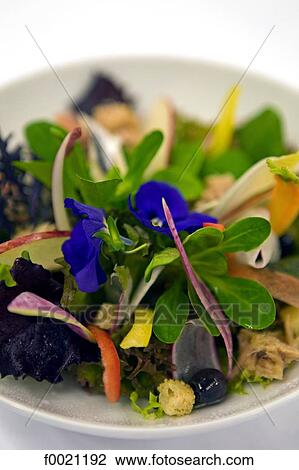 Japan, Tokyo, Shibuya quarter, Alain Ducasse french restaurant, composed salad View Large Photo Image Stock Image - Japan, Tokyo, Shibuya quarter, Alain Ducasse french restaurant, composed salad. Fotosearch