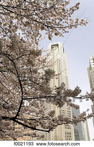 Japan, Tokyo, Shinjuku quarter, Tokyo Metropolitan Government Building View Large Photo Image Stock Image - Japan, Tokyo, Shinjuku quarter, Tokyo Metropolitan Government Building . Fotosearch