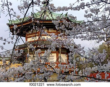 Stock Image - Japan, Tokyo, Ueno Park, pagoda. Fotosearch