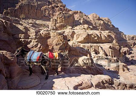 Stock Image - Jordan, Petra, mule ridding visit. Fotosearch
