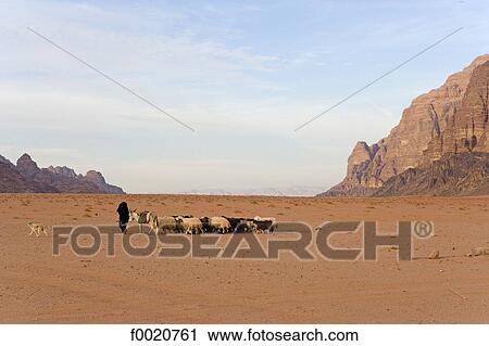 Jordan, Wadi Rum, Bedouin shepherd View Large Photo Image Stock Image - Jordan, Wadi Rum, Bedouin shepherd. Fotosearch