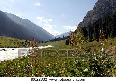 Kyrgyzstan, Altyn Arachan valley View Large Photo Image Stock Image - Kyrgyzstan, Altyn Arachan valley. Fotosearch
