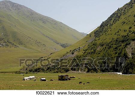 Kyrgyzstan, Suusamyr valley View Large Photo Image Stock Image - Kyrgyzstan, Suusamyr valley. Fotosearch