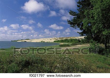 Lithuania, Neringa Peninsula, Nida View Large Photo Image Stock Photo - Lithuania, Neringa Peninsula, Nida. Fotosearch