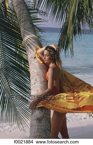 Maldives, model View Large Photo Image Picture - Maldives, model. Fotosearch