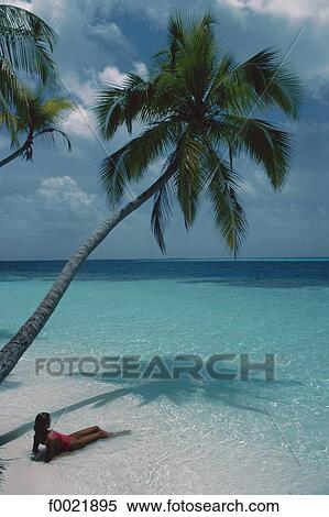 Maldives, model View Large Photo Image Stock Photography - Maldives, model. Fotosearch