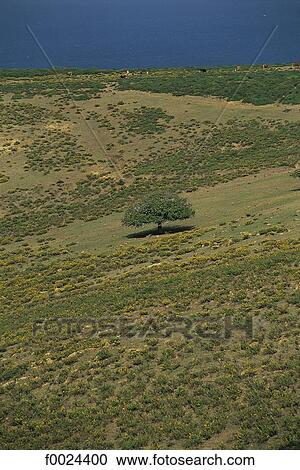 Stock Image - Morocco, Tangier area, corniche of the Rif Mountains. Fotosearch