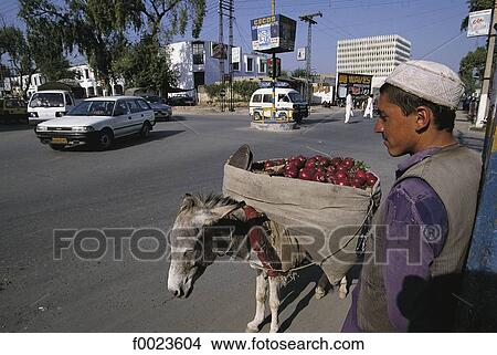 Picture - Pakistan, North-West Frontier Province, Peshawar, old city bazaar, merchant and his donkey. Fotosearch