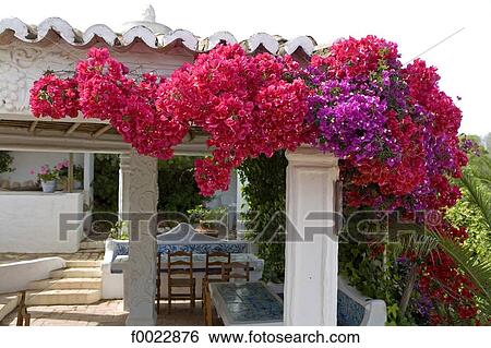 Stock Photograph - Portugal, Algarve, near Lagoa, Porches, flowered terrace. Fotosearch