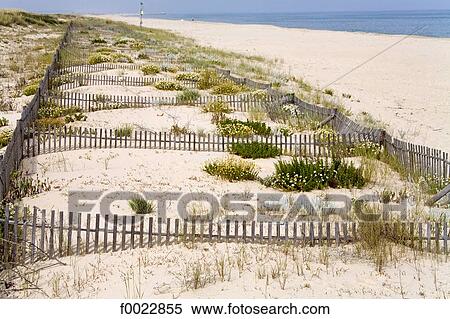 Portugal, Algarve, Tavira, beach, sandhills View Large Photo Image Stock Photography - Portugal, Algarve, Tavira, beach, sandhills. Fotosearch