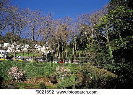 Stock Image - Portugal, Madeira, Monte. Fotosearch
