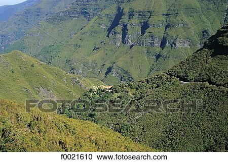 Stock Image - Portugal, Madeira, near Rabacal, mountains. Fotosearch