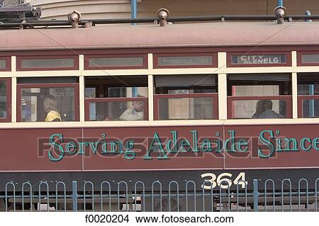South Australia, Adelaide, tramway View Large Photo Image Picture - South Australia, Adelaide, tramway. Fotosearch