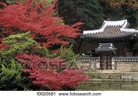 Stock Image - South Korea, Seoul, Changdokkung Palace, the secret garden. Fotosearch