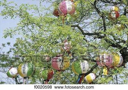 South Korea, Seoul, Chogye Sa Temple, Buddha's birthday celebration View Large Photo Image Stock Photo - South Korea, Seoul, Chogye Sa Temple, Buddha's birthday celebration. Fotosearch