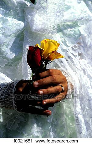 Spain, Catalonia, Montserrat festival, Catalonia coloured roses View Large Photo Image Stock Image - Spain, Catalonia, Montserrat festival, Catalonia coloured roses. Fotosearch