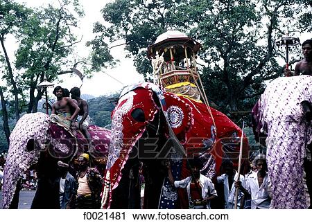 Sri Lanka, Kandy, Perahera Celebration, procession View Large Photo Image Stock Image - Sri Lanka, Kandy, Perahera Celebration, procession. Fotosearch