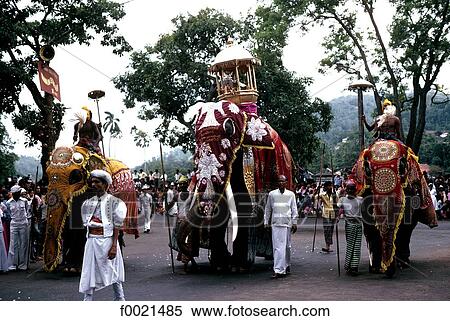 Sri Lanka, Kandy, Perahera Celebration, procession View Large Photo Image Stock Photography - Sri Lanka, Kandy, Perahera Celebration, procession. Fotosearch