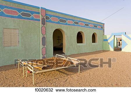 Sudan, Eastern Sahara, Soleib, drying dates View Large Photo Image Stock Image - Sudan, Eastern Sahara, Soleib, drying dates. Fotosearch