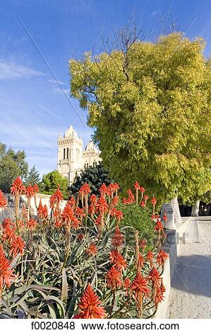 Tunisia, Carthage, archaeological museum garden, Saint Louis cathedral in the background View Large Photo Image Stock Photo - Tunisia, Carthage, archaeological museum garden, Saint Louis cathedral in the background. Fotosearch