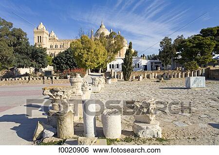 Tunisia, Carthage, archaeological museum garden, Saint Louis cathedral in the background View Large Photo Image Stock Photograph - Tunisia, Carthage, archaeological museum garden, Saint Louis cathedral in the background. Fotosearch
