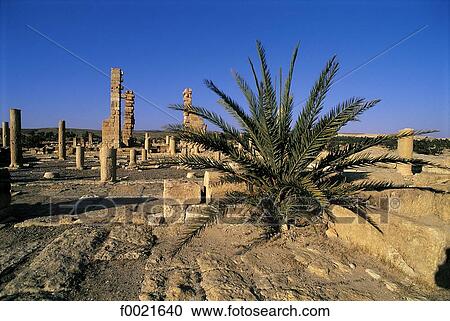 Tunisia, Sbeitla, archaeological site View Large Photo Image Stock Image - Tunisia, Sbeitla, archaeological site. Fotosearch