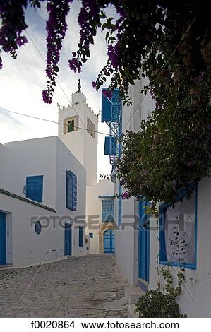 Picture - Tunisia, Sidi Bou Said, mosque. Fotosearch