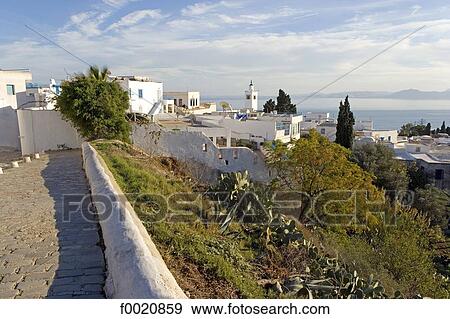 Tunisia, Sidi Bou Said, village View Large Photo Image Stock Photo - Tunisia, Sidi Bou Said, village. Fotosearch