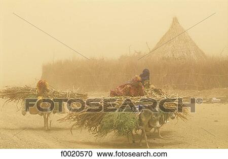 Stock Image - Yemen, Wadi Lissan, sandstorm. Fotosearch