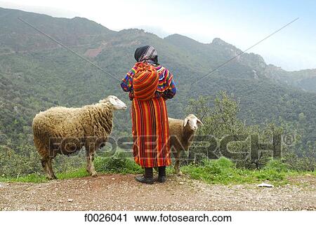 Stock Image - Algeria, Kabylia, Kabyle woman with her sheeps. Fotosearch