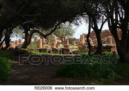 Algeria, Tipaza, Roman ruins View Large Photo Image Stock Photograph - Algeria, Tipaza, Roman ruins. Fotosearch