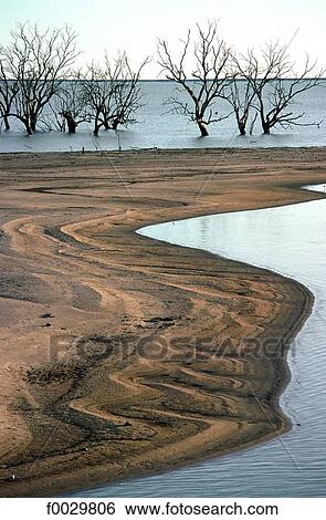 Australia, Kinchega National Park, dead trees in a lake View Large Photo Image Stock Photograph - Australia, Kinchega National Park, dead trees in a lake. Fotosearch