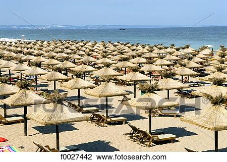 Bulgaria, Golden Sands, shores of the Black Sea View Large Photo Image Stock Image - Bulgaria, Golden Sands, shores of the Black Sea. Fotosearch