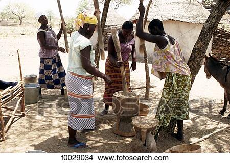 Burkina Faso, near Fada N'gourma, women crushing millet View Large Photo Image Picture - Burkina Faso, near Fada N'gourma, women crushing millet. Fotosearch