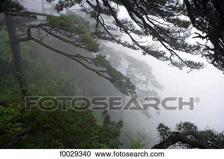 China, Anhui, Huangshan mountains View Large Photo Image Stock Image - China, Anhui, Huangshan mountains. Fotosearch