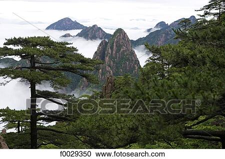 China, Anhui, Huangshan mountains View Large Photo Image Stock Image - China, Anhui, Huangshan mountains. Fotosearch