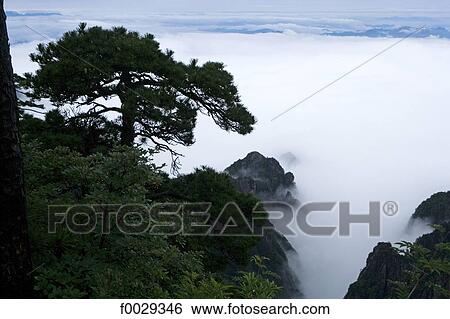 China, Anhui, Huangshan mountains View Large Photo Image Stock Photograph - China, Anhui, Huangshan mountains. Fotosearch
