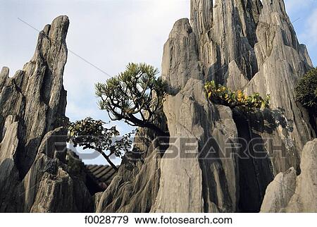 China, Jiangsu, Suzhou, Lu garden, natural rock View Large Photo Image Stock Photo - China, Jiangsu, Suzhou, Lu garden, natural rock. Fotosearch