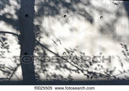 Stock Photography - China, near Shuiguan, Commune by the Great Wall Hotel, shadow of tree on a wall. Fotosearch