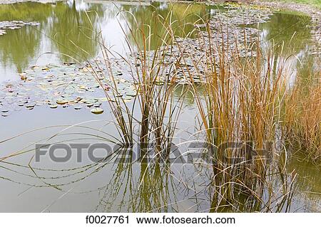 Stock Image - China, Shanxi province, Chang residence, gardens. Fotosearch