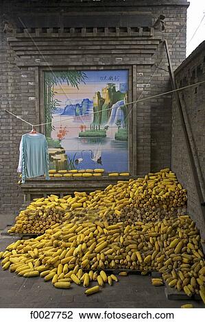 China, Shanxi province, Pingyao, drying corn View Large Photo Image Stock Image - China, Shanxi province, Pingyao, drying corn. Fotosearch