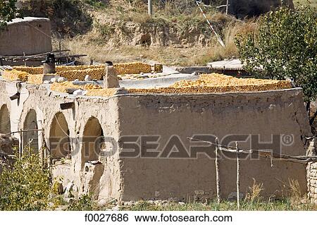 Stock Photograph - China, Shanxi province, Tian ja lun, corn drying. Fotosearch