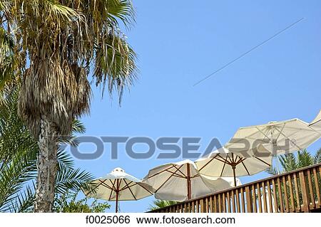 Stock Photograph - Cyprus, Paphos, Almyra Hotel, terrace with parasols. Fotosearch