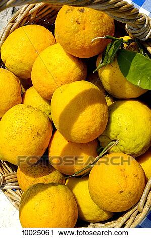 Cyprus, Paphos, oranges for sale at the market View Large Photo Image Stock Image - Cyprus, Paphos, oranges for sale at the market. Fotosearch