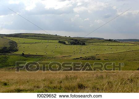 Stock Image - France, Auvergne, fields and ricks. Fotosearch