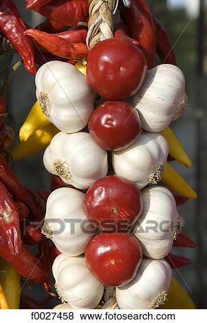 Hungary, gastronomy, garlic, tomatoes and paprika View Large Photo Image Stock Photo - Hungary, gastronomy, garlic, tomatoes and paprika. Fotosearch