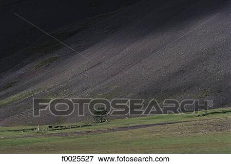 Iceland, near Hvisker, volcanic landscape View Large Photo Image Stock Photo - Iceland, near Hvisker, volcanic landscape. Fotosearch
