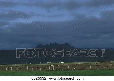Stock Image - Iceland, near Selfoss, Icelandic landscape. Fotosearch