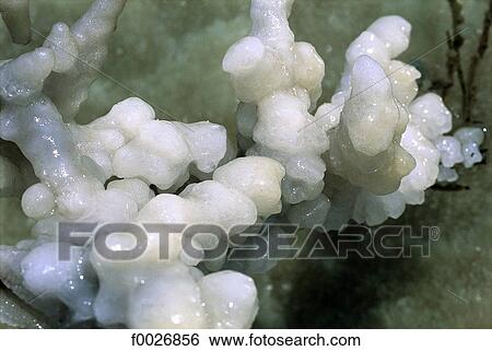 Israel, Dead Sea, salt concretion View Large Photo Image Stock Photograph - Israel, Dead Sea, salt concretion. Fotosearch